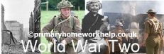 The holocaust primary homework help The holocaust primary homework help